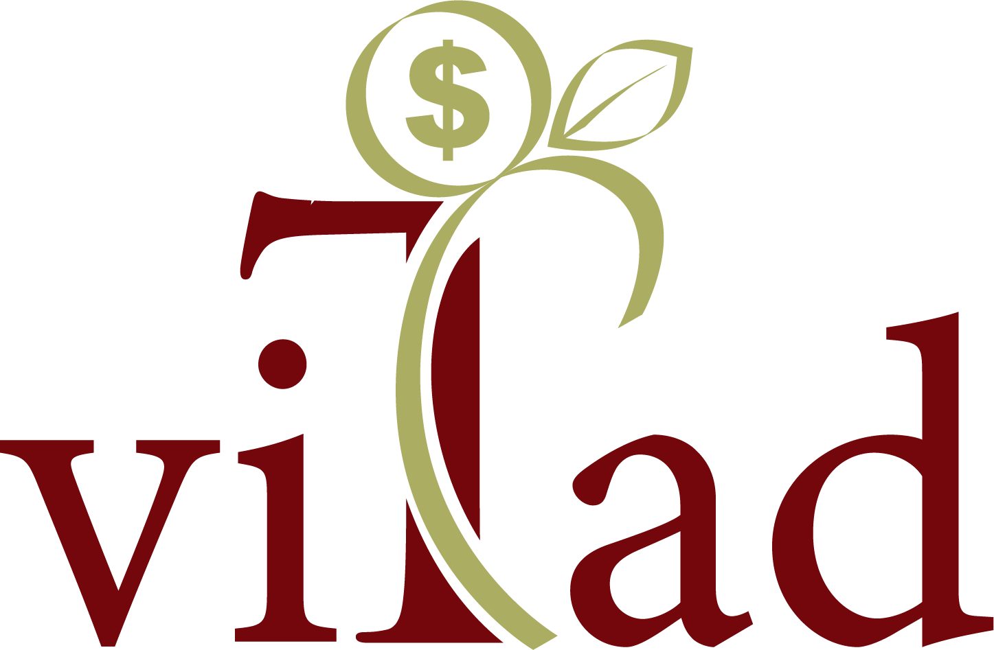 VitaD Tax and Accounting Services
